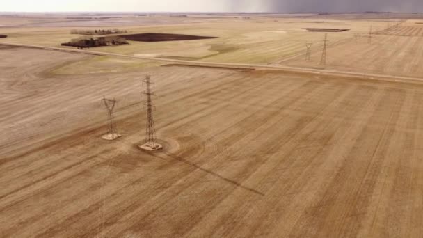 Kanada Bozkırlarında Hasat Edilen Buğday Tarlaları Üzerindeki Iletim Hatlarının Elektrik — Stok video