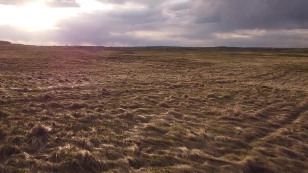 Suivi Des Prairies Naturelles Révèle Changement Inclinaison Dans Les Prairies — Video