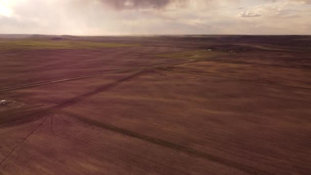 アルバータ州の農地と種子畑のショットを明らかにする高い空中傾斜嵐の空の下で日没時に — ストック動画