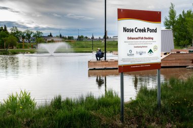 Airdrie Alberta Canada, 12 Haziran 2022: Nose Creek Parkı 'ndaki stoklanmış gökkuşağı alabalık havuzunda yaşlı bir balıkçı ve arka planda çeşme bulunan bir kamu duyurusu.