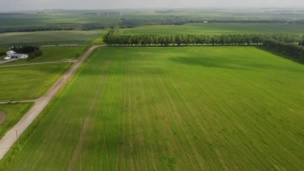 Aerial Tilt Reveal Prairie Farm Fields Rural Highway Moving Cloud — Stok video