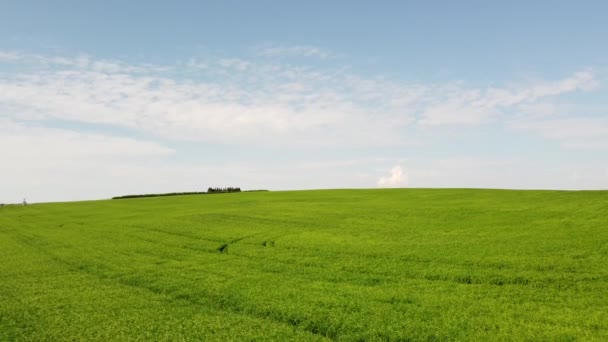 High Aerial Tilt Shot Rolling Hills Ranching Farms Alberta Prairies — Vídeo de Stock