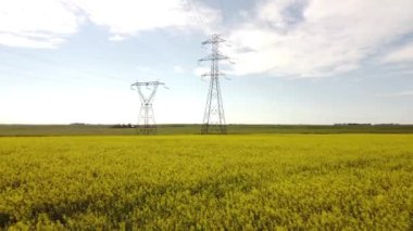 Sarı kolza tohumu tarlalarının üzerinden Kanadalı tarım arazilerindeki yüksek çelik nakliye kulelerine ve elektrik hatlarına doğru hareket ediyor..