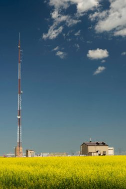 Communications antenna providing rural internet with a utilities station on a blooming yellow mustard seed field in Rocky View County Alberta Canada.