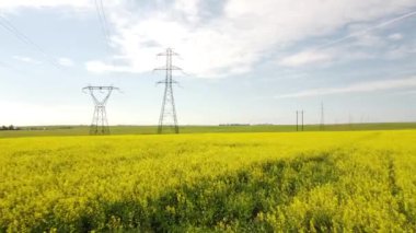 Tracking shot over blooming mustard seed field with transformer towers connected to the electricity grid on the Canadian prairies.