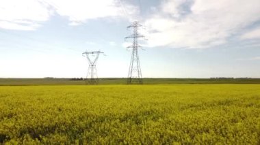 Tracking shot over blooming mustard seed field with transformer towers connected to the electricity grid on the Canadian prairies.