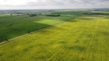 Rocky View County Alberta 'daki Kanada bozkırlarında sabah vakti tarım arazileri ve kır yolları üzerinde hava manzarası.