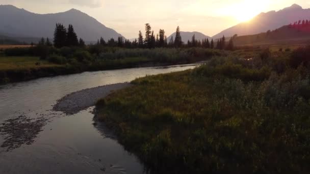 Low Aerial Crowsnest River Sunset Distant Canadian Rocky Mountains Crowsnest — Stock videók