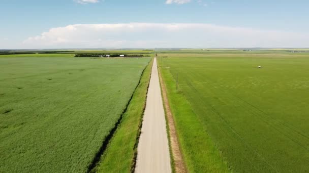 Aerial Flight Gravel Rural Road Growing Wheat Fields Canadian Prairies — Stockvideo