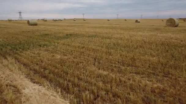 Heuballen Auf Abgeernteten Feldern Mit Weit Entfernten Sendemasten Alberta — Stockvideo