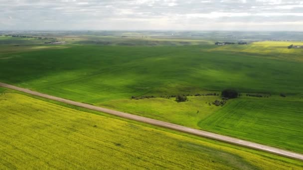 Vista Aérea Sobre Tierras Cultivo Caminos Rurales Las Praderas Canadienses — Vídeo de stock