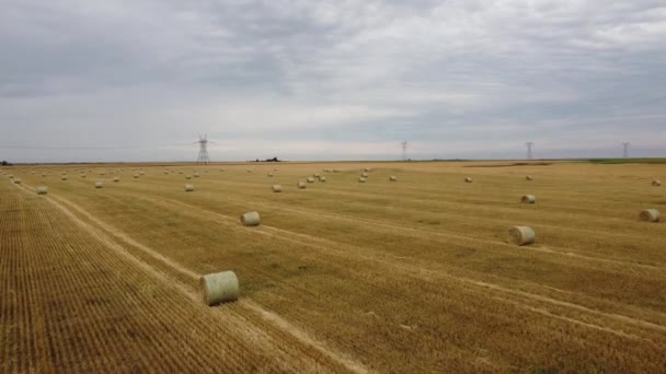 カナダの遠くの送電塔と草原の土地で撮影傾斜丸い干し草のロール — ストック動画