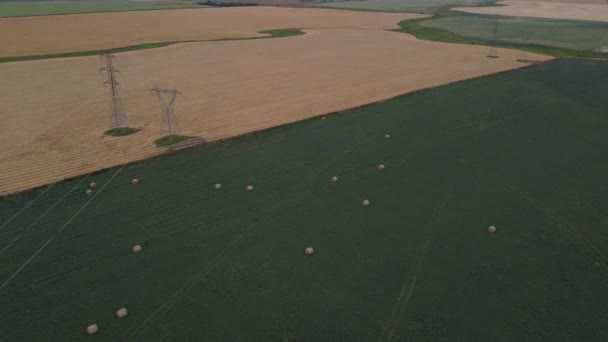 夏の収穫の間 カナダの農地に沿ってアルファルファ畑と丸い干し草のロール上の遅い追跡運動 — ストック動画