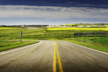 Rocky View County Alberta Canada, Eylül 05, 2022: Calgary 'de ağır makineli Canola Fields ve tarım arazilerinde gelişmeler devam ederken kentsel yayılma.