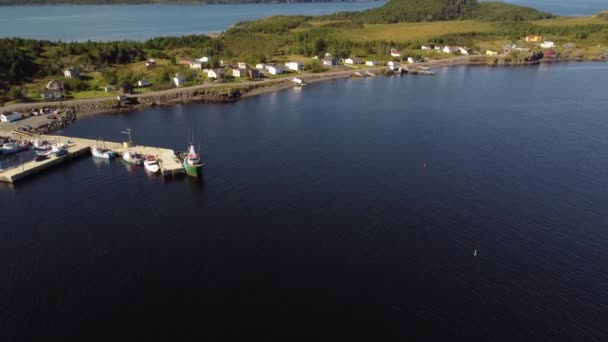 ニューファンドランド島のボニヴィスタ半島で撮影された小さなビーチタウンと釣り桟橋の空撮カナダ — ストック動画