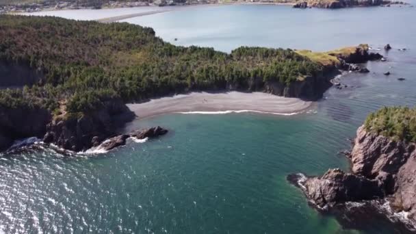 ニューファンドランド島の大西洋岸の空中チャンスコーブと人里離れたビーチカナダ — ストック動画