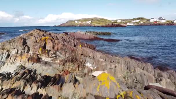 ケルズ ボナビスタ湾に遠く大西洋カナダの家がある岩の多い海岸の上の低空のニューファンドランド海岸 — ストック動画