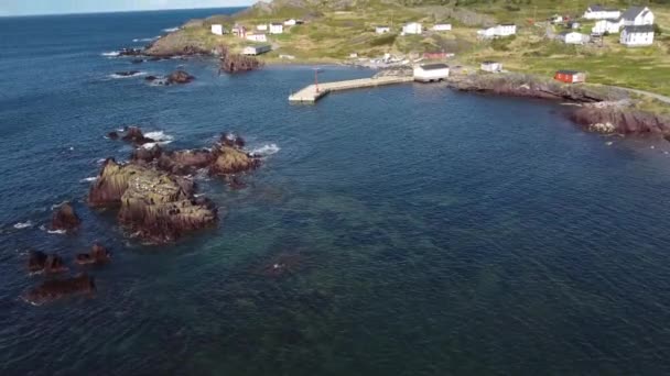 Εναέρια Newfoundland Κλίση Πυροβόλησε Ένα Μικρό Ψαροχώρι Βραχώδεις Ακτές Και — Αρχείο Βίντεο