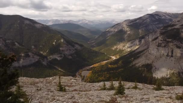 Montagnes Rocheuses Canadiennes Aériennes Travers Des Pins Surplombant Une Vallée — Video