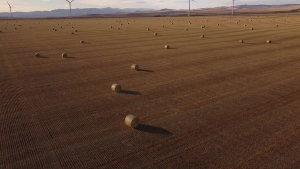 Cinemático Aéreo Fardos Feno Redondo Moinhos Vento Sobre Campo Agrícola — Vídeo de Stock