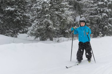 Genç kros kayakçısı ormanda