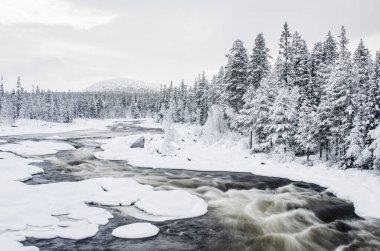 Nehir kışın hızlı akar.
