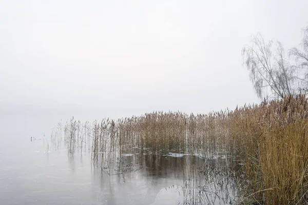 Led Jezeře Kromě Rákosí Švédsko — Stock fotografie