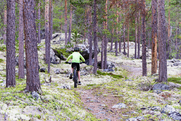 Мальчик катается на велосипеде по лесной тропе