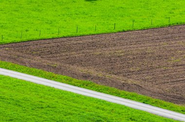 Yeşil alanlar arasında pullu tarlalar