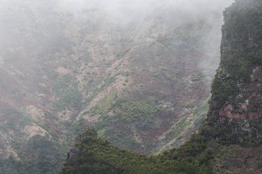 Sis içindeki orman dağları, Madeira