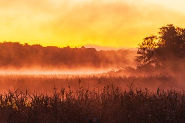 Gündoğumu sisli gölde, İsveç