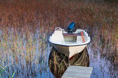 Sazlıklarla çevrili bir kayık.