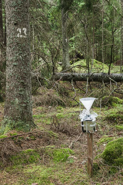 森の計測器 — ストック写真