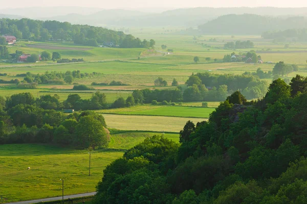 Zemědělská Krajina Údolí Švédsko — Stock fotografie