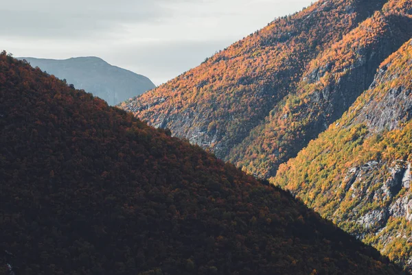Cenário Montanha Com Cores Outono — Fotografia de Stock