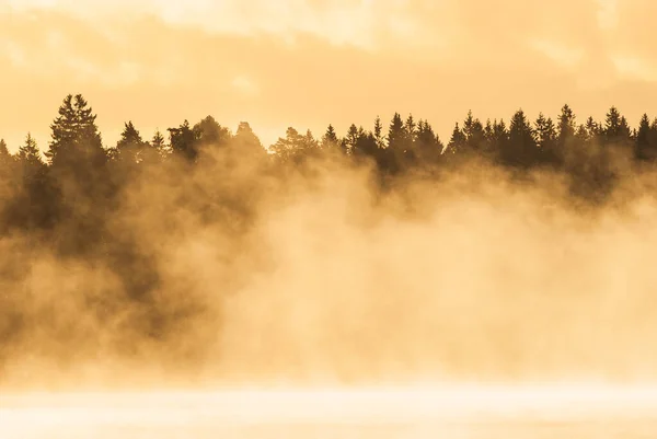 Misty Πρωί Στη Λίμνη Μπροστά Από Δάσος — Φωτογραφία Αρχείου