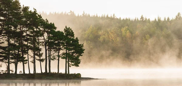 Träd Framför Dimmiga Sjön — Stockfoto