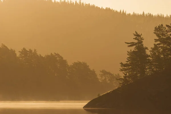 Дерева Озері Під Час Заходу Сонця — стокове фото
