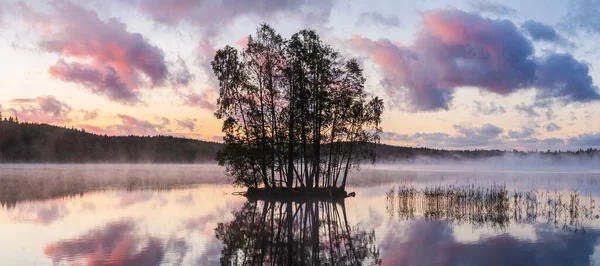 Isla Con Árboles Lago Tranquilo Amanecer —  Fotos de Stock