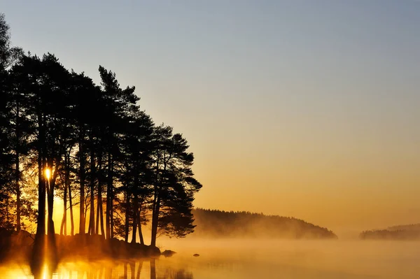 Δέντρα Ηλιοβασιλέματος Πάνω Από Λίμνη — Φωτογραφία Αρχείου