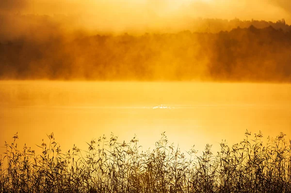 หลาบหน าทะเลสาบตอนพระอาท — ภาพถ่ายสต็อก