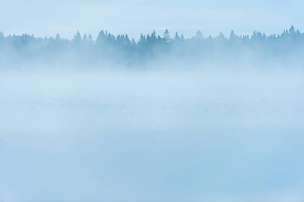 Névoa Ainda Lago Frente Floresta — Fotografia de Stock