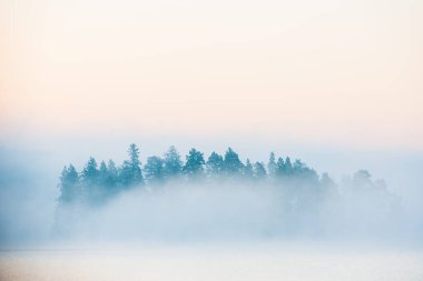 Ağaçların önündeki sisli göl, İsveç.