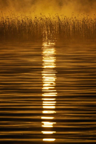 Ηλιακό Φως Αντανακλάται Στο Νερό Σουηδία Την Ευρώπη — Φωτογραφία Αρχείου
