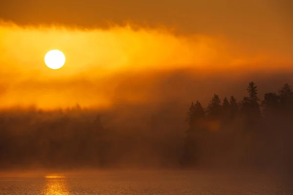 Sol Saliendo Sobre Bosque Lago Brumoso Suecia —  Fotos de Stock