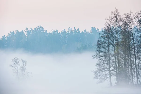 Туманное Озеро Рассвете — стоковое фото