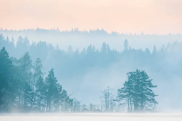 Туманное Озеро Перед Деревьями Швеция — стоковое фото