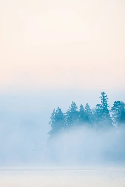 Nebliger See Vor Bäumen Schweden — Stockfoto