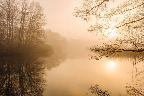 Misty River Ved Soloppgang Sverige – stockfoto