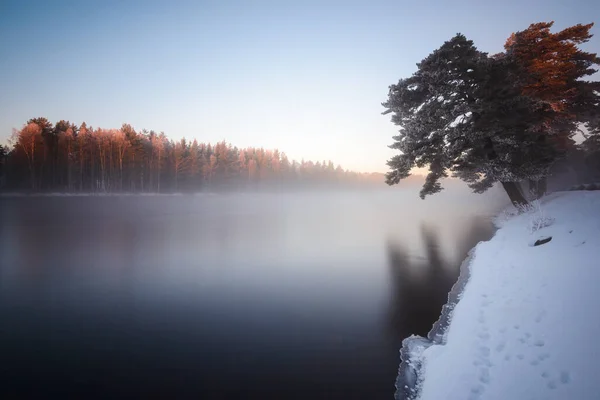 Nebliger Morgen Fluss Winter — Stockfoto